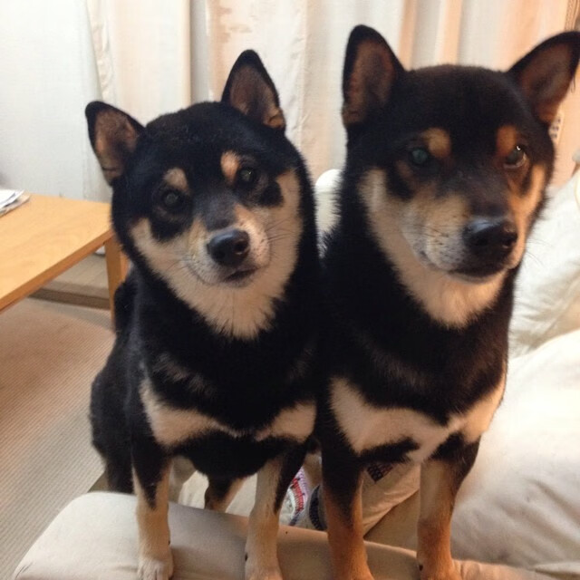 世界排名争夺战之夜，莱万攻防转换核心