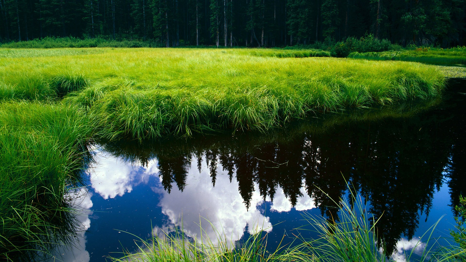 守门员的叹息，奥纳纳的19秒与英格兰的41米