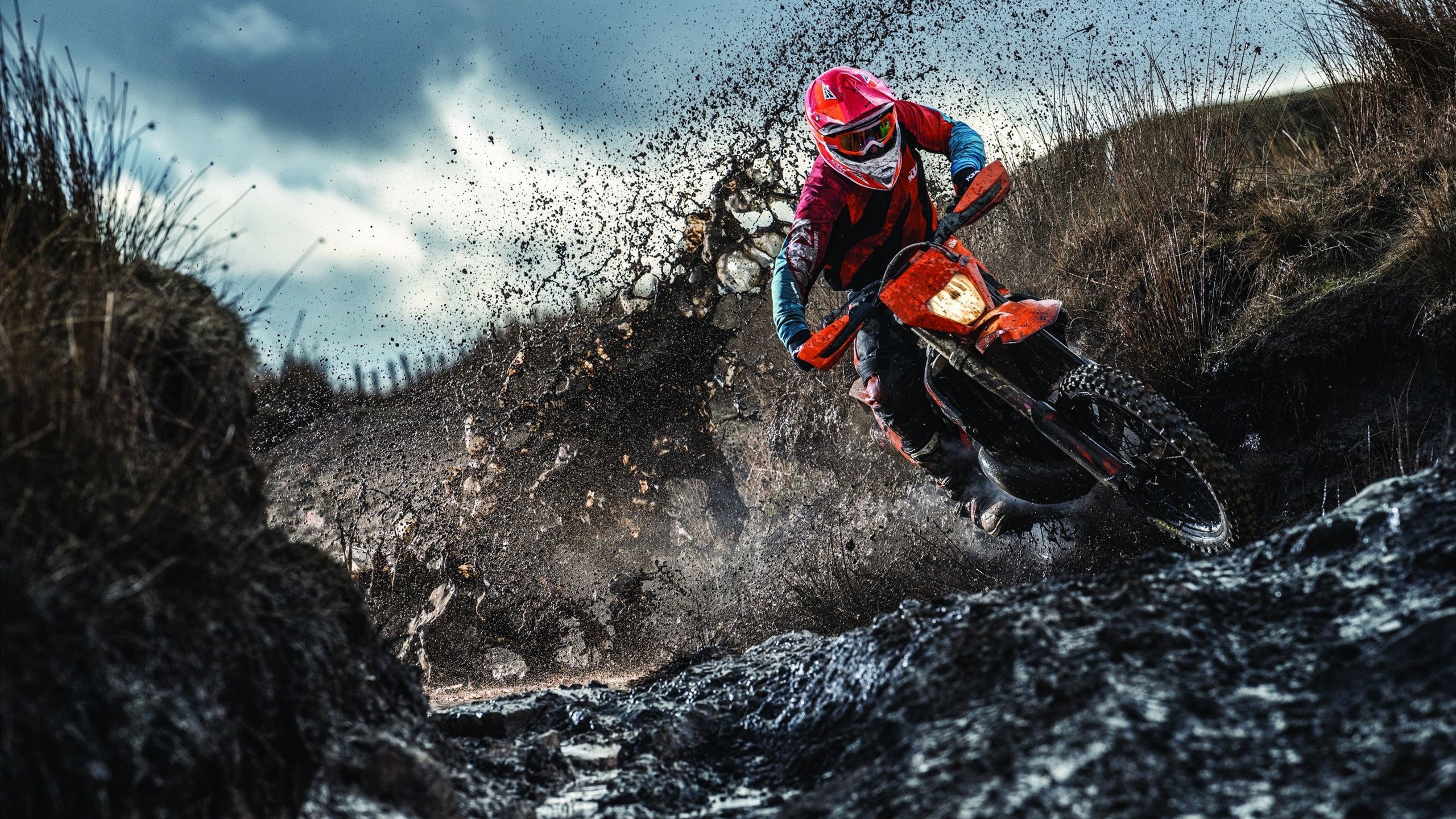 冠军基因的平行叙事，从上海滩的尘埃落定，到奥兰多的王权初显