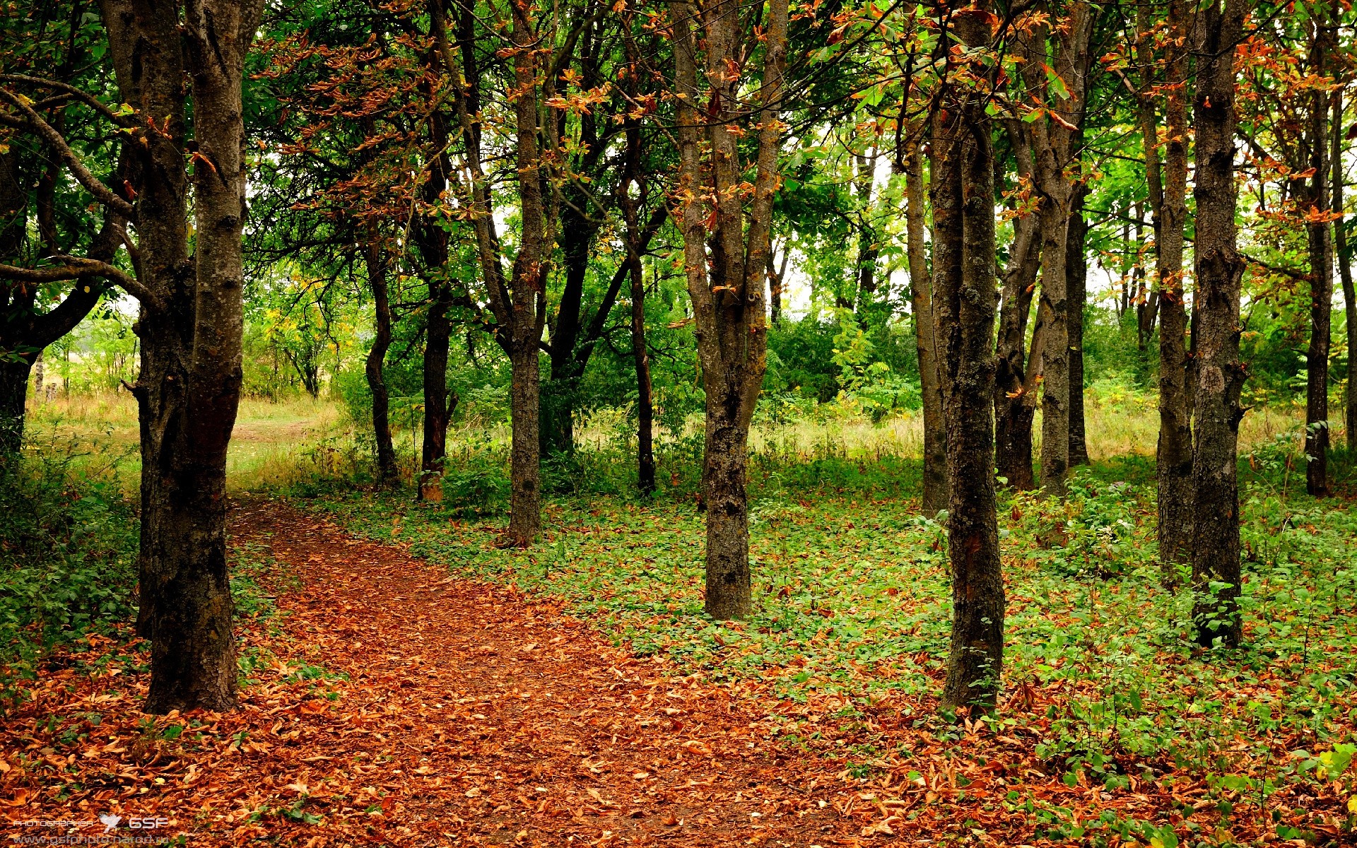 冰与焰的对决，当挪威的峡湾之风，吹过巴拉圭的狂野之门