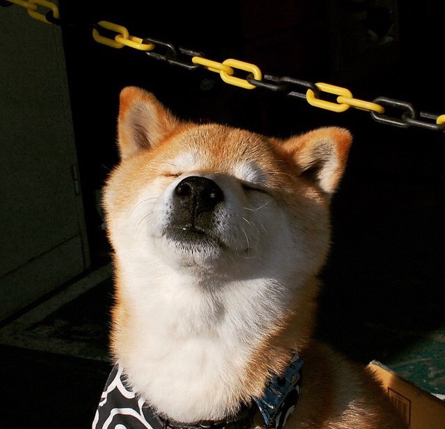 南国铁壁力锁北美群星，深圳破鹈鹕，杜兰特之夜独照空篮