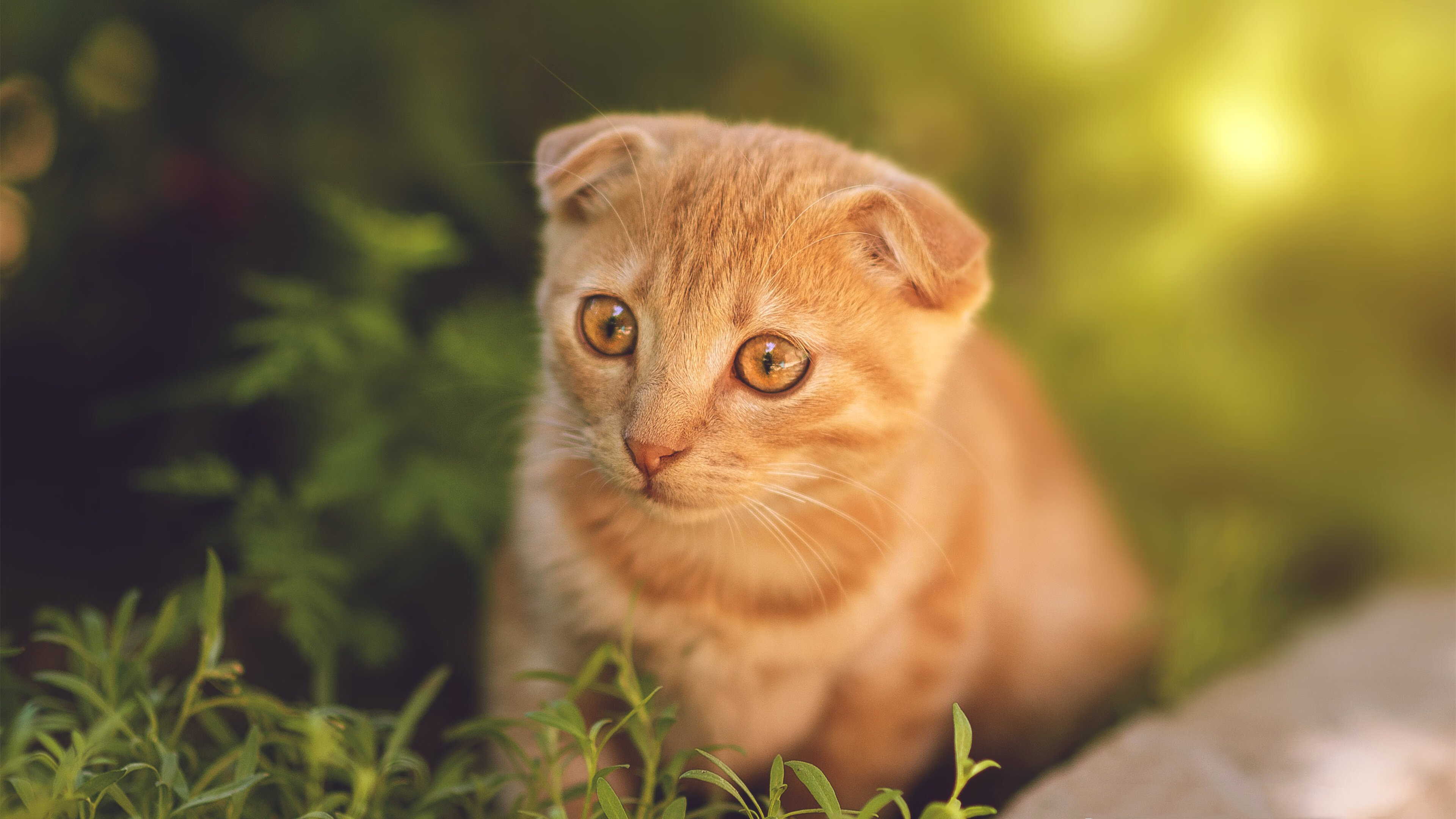 双线叙事，老鹰猎杀马刺之夜，勒布朗书写历史新篇