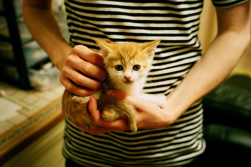 当诗人决定弑神，利拉德用连续得分谱写的终章独白