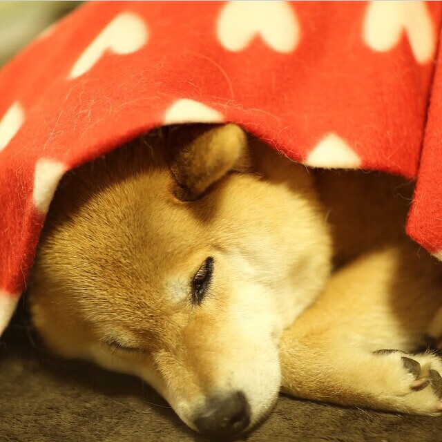 死地血战，灵光破局，帕尔默于加丹绞杀局中铸就的个人英雄史诗