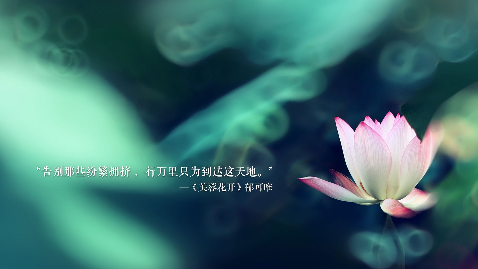 马克西化身费城绞肉机，独行侠机械巨兽碾碎鹈鹕反抗意志