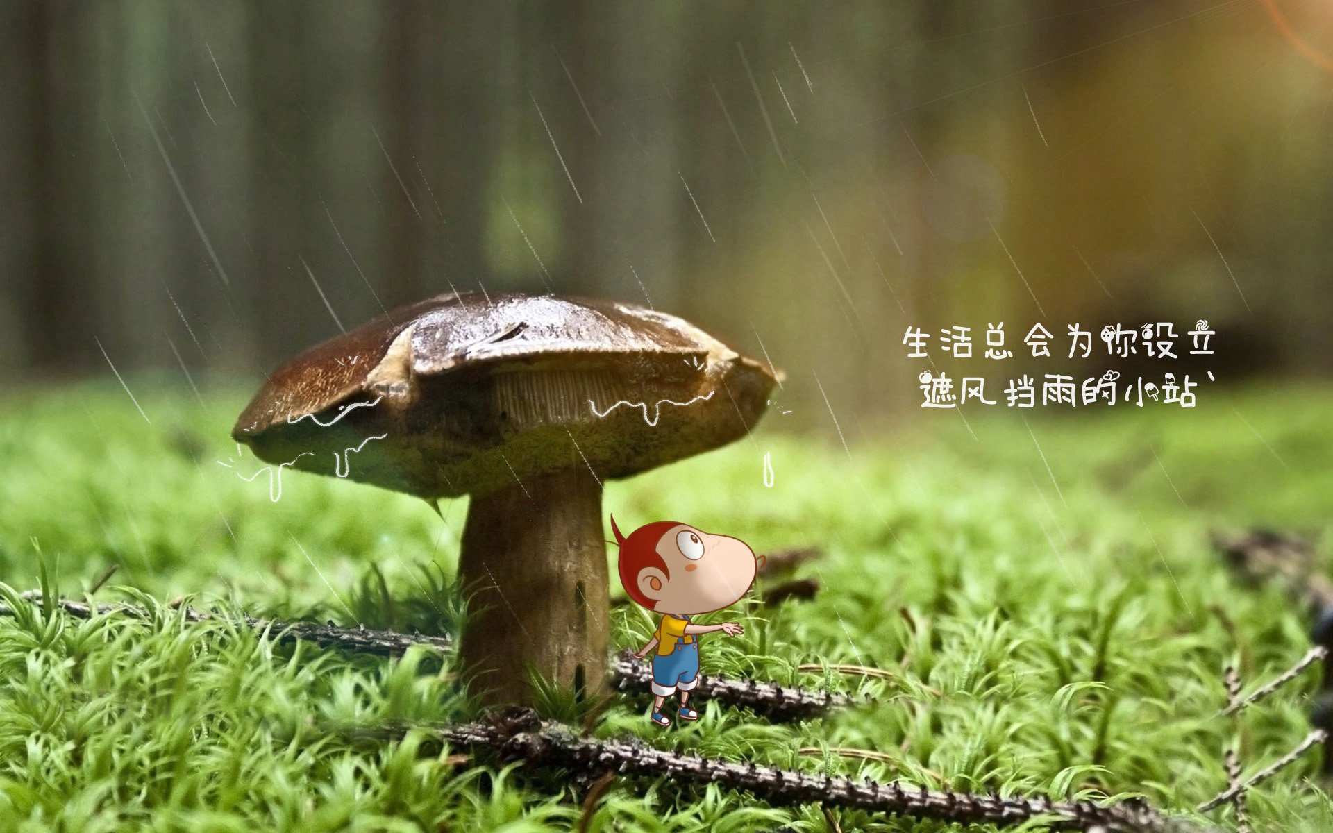 黄金终章，2026，苏亚雷斯点燃的不仅仅是进球