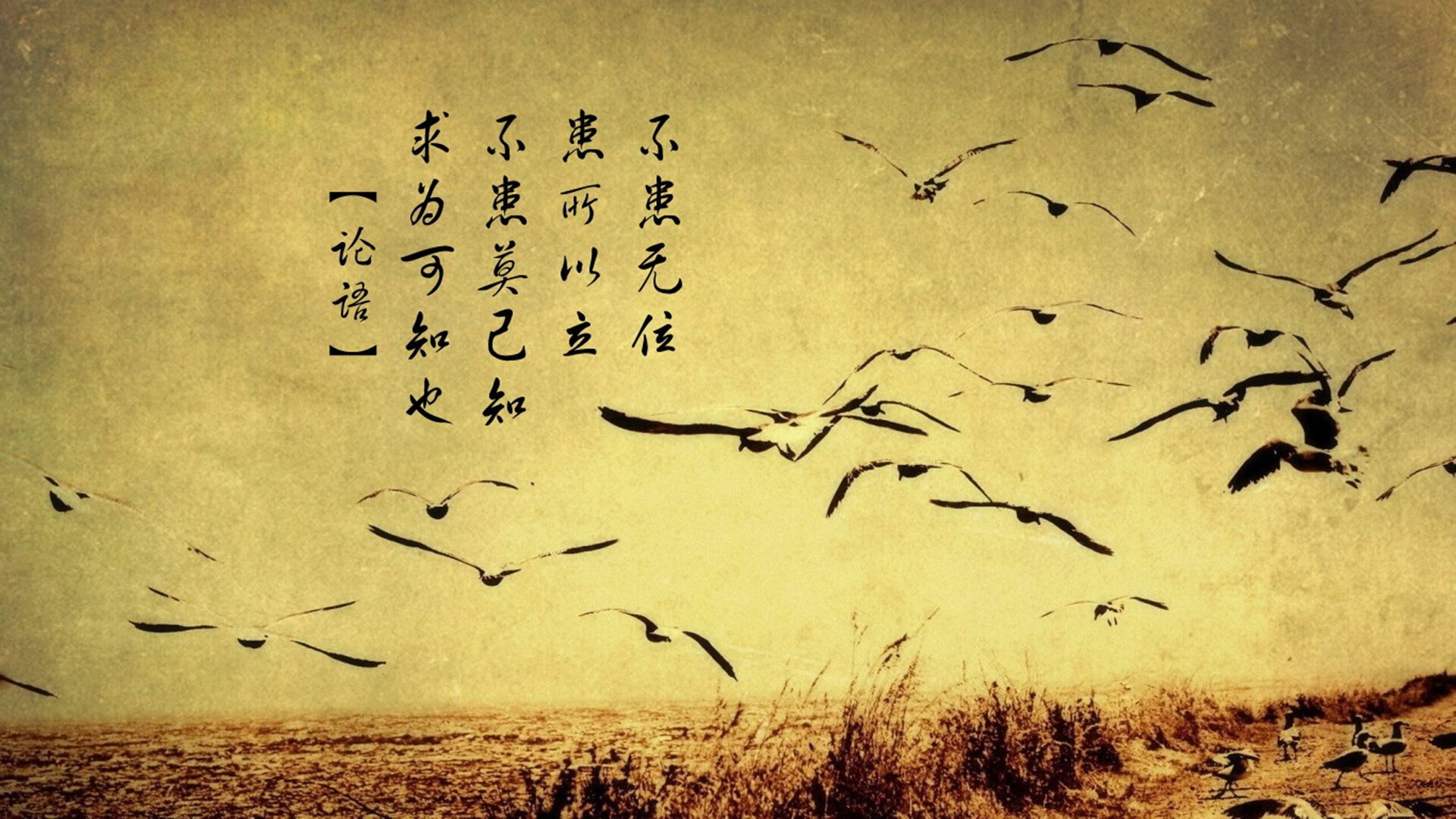 绝杀之夜与孤胆英雄，2026世界杯G组，一场定义唯一性的足球史诗